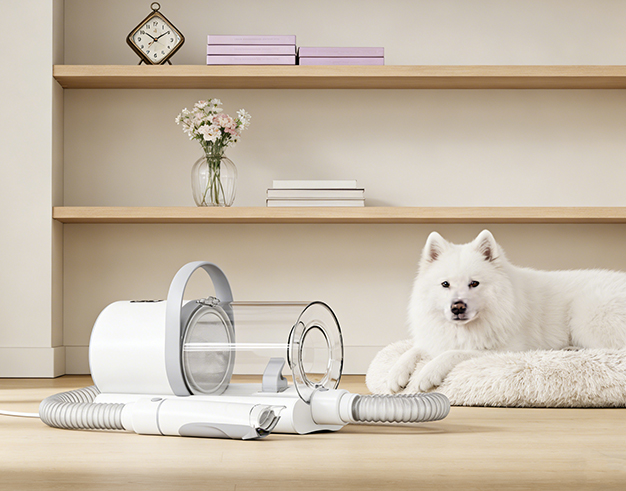 Penjagaan Haiwan Kesayangan