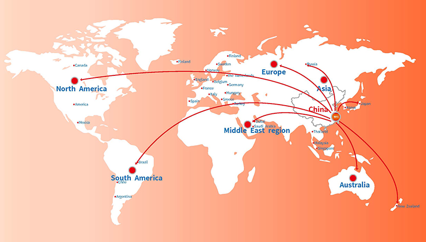 Ningbo Meace Pet Products Co., Ltd.